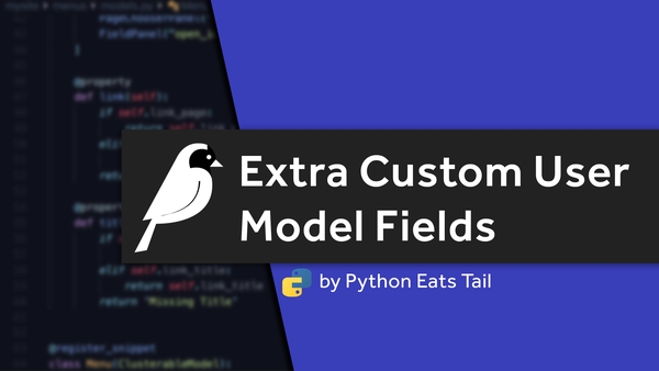 20_extra_custom_user_model_fields.png